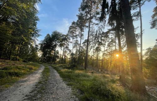 Schöne Ferienwohnung mitten im Pfälzerwaldgebiet - Foto 48