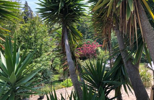 Little Gem with Private Hot Tub - Up to 25 percent off ferry - Foto 3