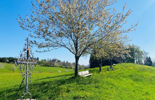 Urlaubshof Bechteler - Foto 16