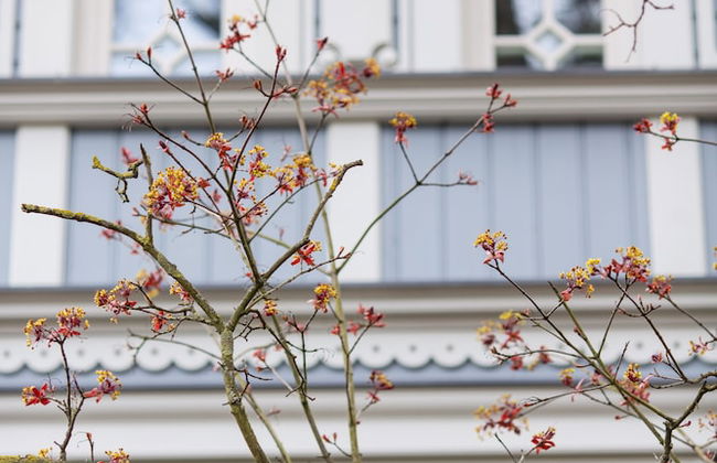 KATRIN apartments - Photo 43