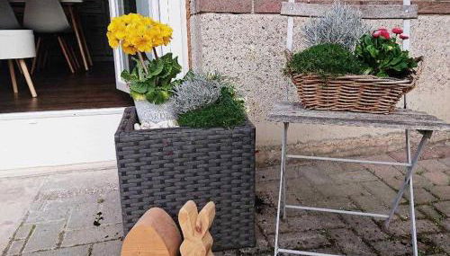 Ferien im Heckenland - Foto 4