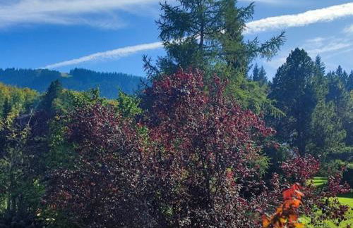 Ferienwohnung Gabriel - Foto 18