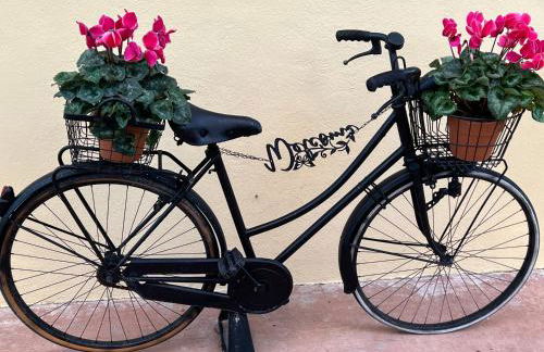 Assisi, la Noce - Foto 39