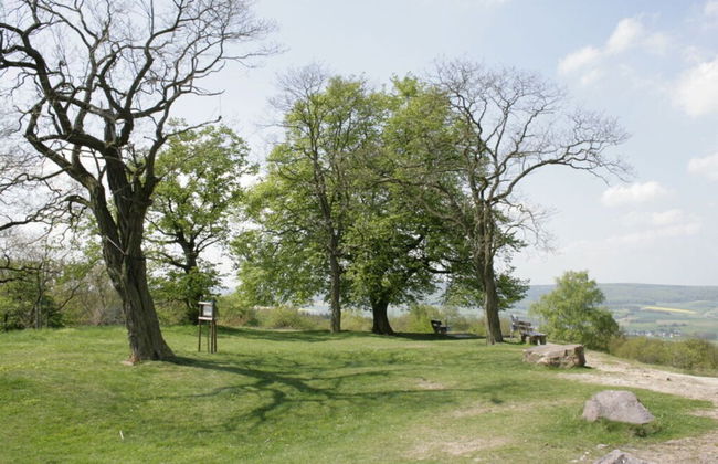 Idyll Near Limburg/lahn - Foto 37