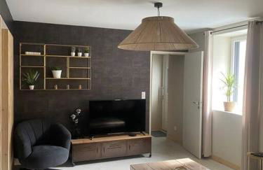 Maison 200m2- 9 chambres avec sdb - 16-18 personnes - séminaire-Proche Centre-Ville-Gare et Arena-terrasse - Foto 4