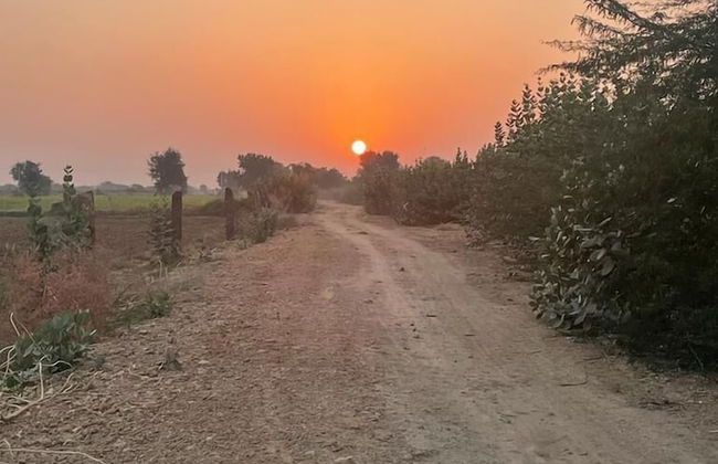 Chotsa's farm House - Foto 19