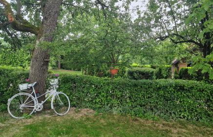 Holiday home Hižica v plavem trnacu - Foto 8