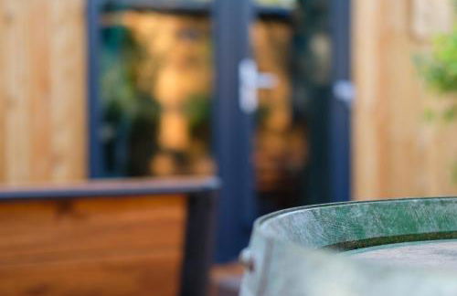 Iguana - Das Tiny Haus am Reptilienzoo Reptilium - Foto 13