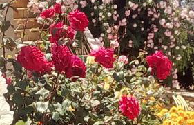 Villa Myrto - Foto 44