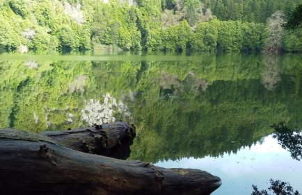 Casa da Corisca - Photo 25