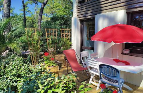 Appt Seignosse le Penon - plages commerces à pied - Foto 1