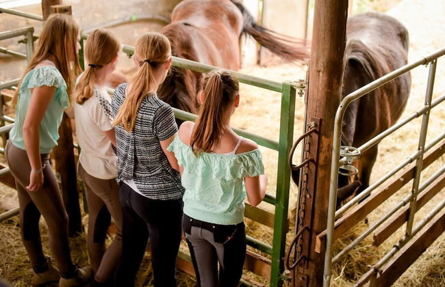 Nengshof - Haus Wildrose - Photo 24