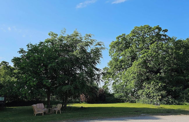 Plas Bellin Cottages - Foto 35