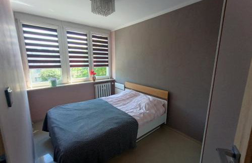 Retro Apartament blisko Parku - Photo 13