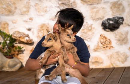 Zante Hidden Hills - Photo 29