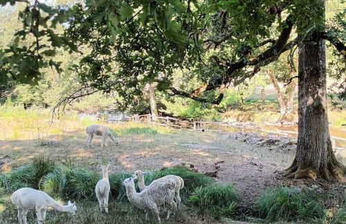 Gite 3 chambres, 2 à 10 pers et jardin clôturé - Foto 36