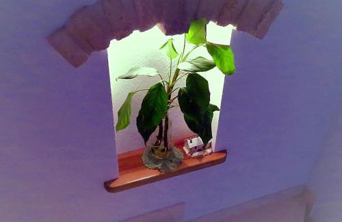 Villae Dalmaticae - Kastil - Photo 29