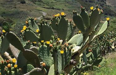 Royal Marina Golf-B - Foto 28