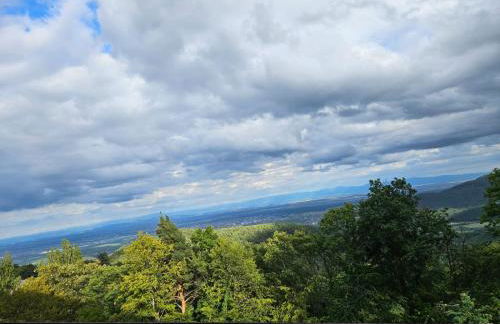 LE PANORAMA studio privé avec vue magnifique TURCKHEIM TROIS ÉPIS - Foto 4