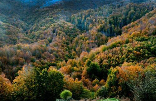 Casa Rural Lenco - Foto 57