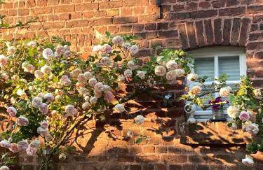 Scheunentraum Brenig - Foto 29