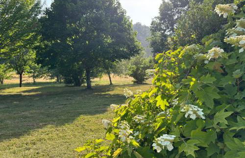 L ancien fournil - Sejour authentique & douillet - Proche de Sarlat - Foto 8