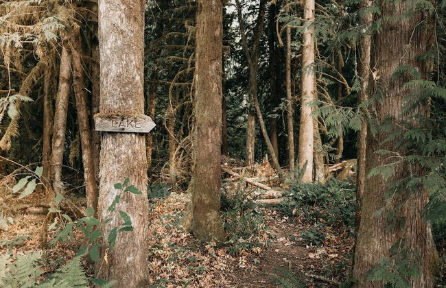 67MF- Hot Tub - Pets Ok - BBQ - Sleeps 5 - Foto 22