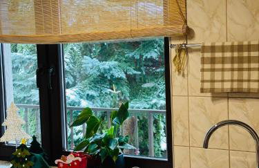 Domek Golasówka - Foto 11