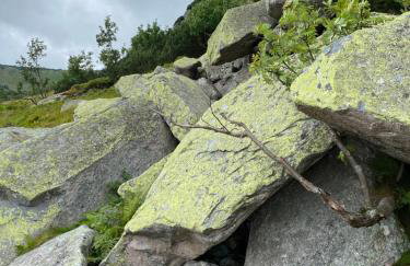 Grudza83 Bikepoint - Foto 36