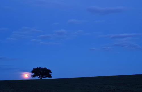 Monte do Arneiro - Foto 67