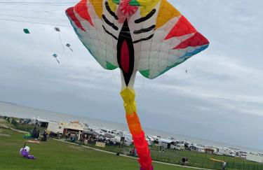 Steuerbordkajüte - Foto 16