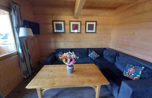 Dom z widokiem na Wierchy - panorama na Tatry - Traditional folk house - Foto 51