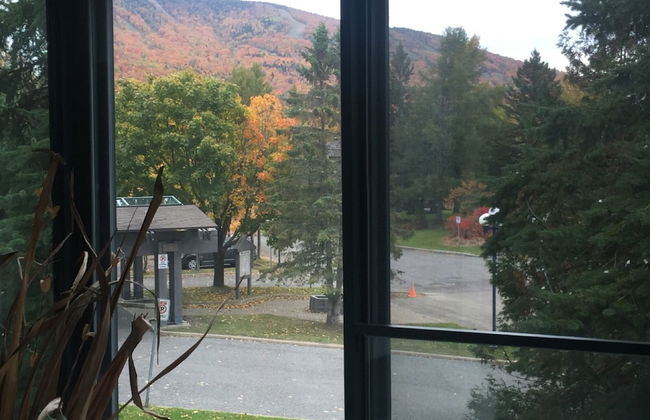 Chalet et condos Mont Sainte-Anne - Foto 32