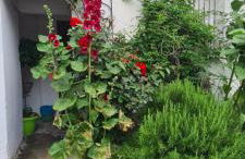 Da Ersilia - Foto 24