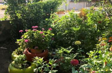 Dream apartments by Depi - Photo 6