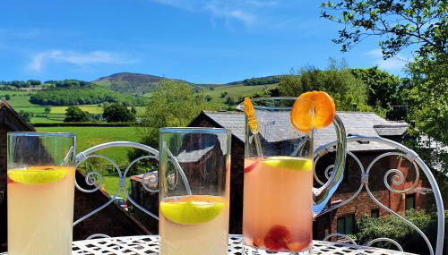 Heron's View - Foto 2, Garden