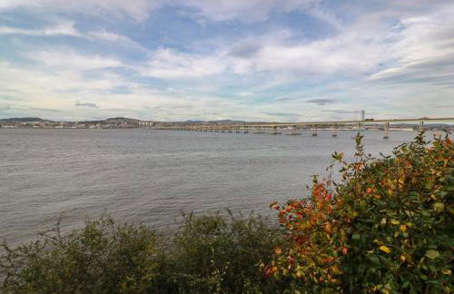 Lazy Bulldog - Foto 21