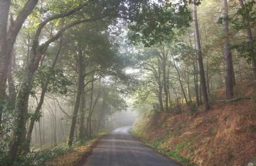 Apartamentos Casa de Riba - Foto 47