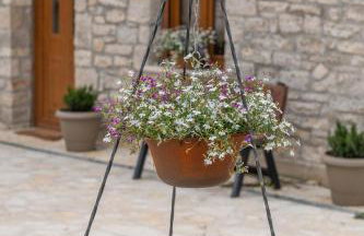 villa Melissa - Foto 26