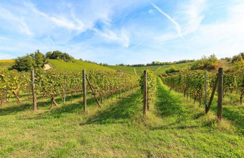 Apartment in Gavi near Serravalle Outlet - Foto 35