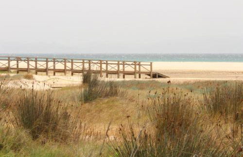 Los Lances Tarifa - Piscina y patio - Photo 51