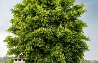 Villa Barbara - Slow Wine Estate with Private Pool, Air Conditioning and Panoramic Views on Wineyards - Foto 13