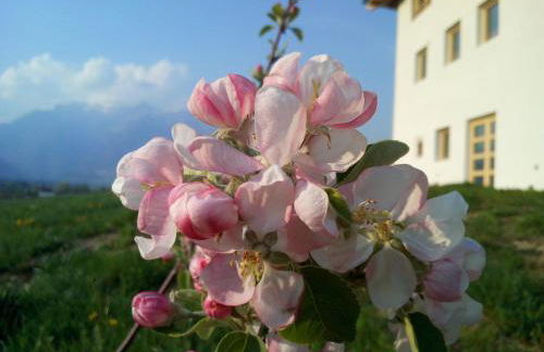 AGRITURISMO MASO PERTENER -adults friendly- - Foto 23