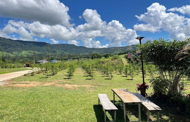 Bansuanmok Khaokho - Photo 54