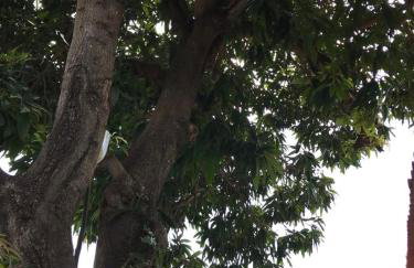 Casa aconchego - Foto 12