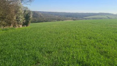 Treetops Studio Apartment - Foto 5