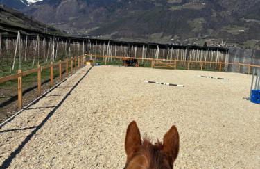 Schöne Wohnung am Stadtrand von Meran Valentinhof - Foto 24