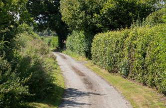 Stunning studio flat with dedicated private garden - Photo 22