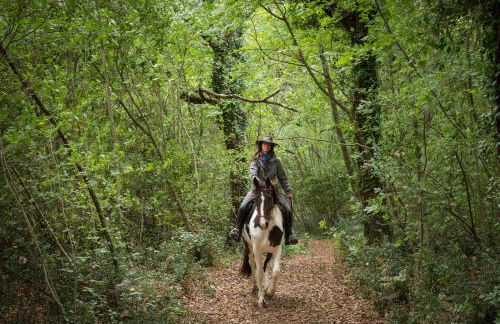 Borgo Pignano Volterra Tuscany - Photo 64
