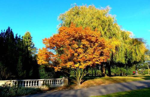 Charming 3BR Duplex in Wembley, 5 Minutes to Tube - Foto 35